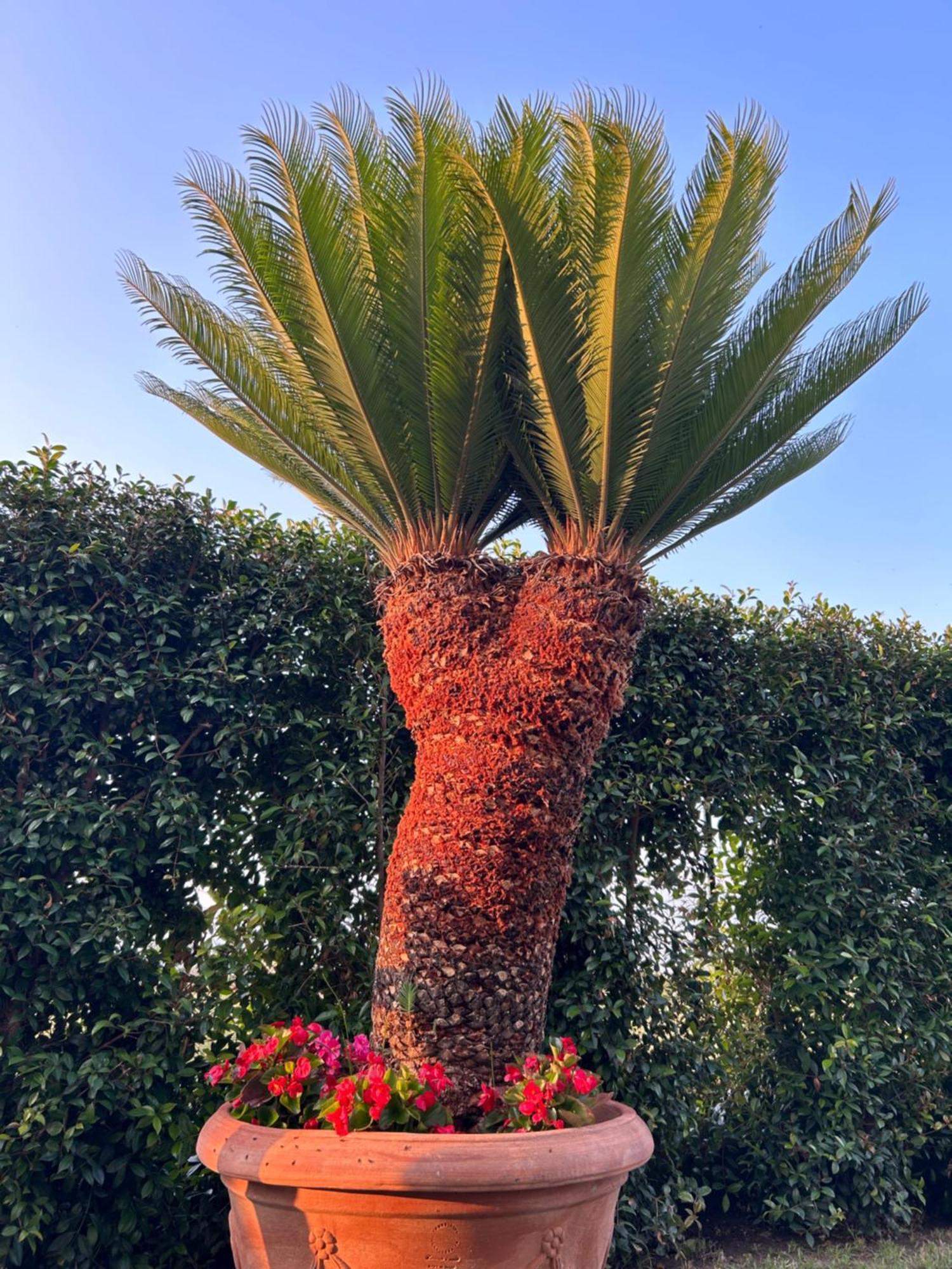 דירות זמברונה Alto Giardino מראה חיצוני תמונה