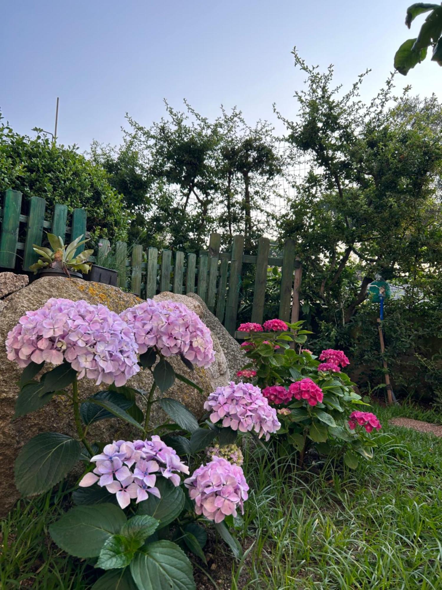 דירות זמברונה Alto Giardino מראה חיצוני תמונה