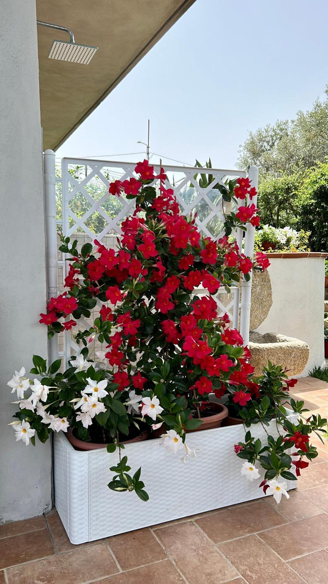 דירות זמברונה Alto Giardino מראה חיצוני תמונה