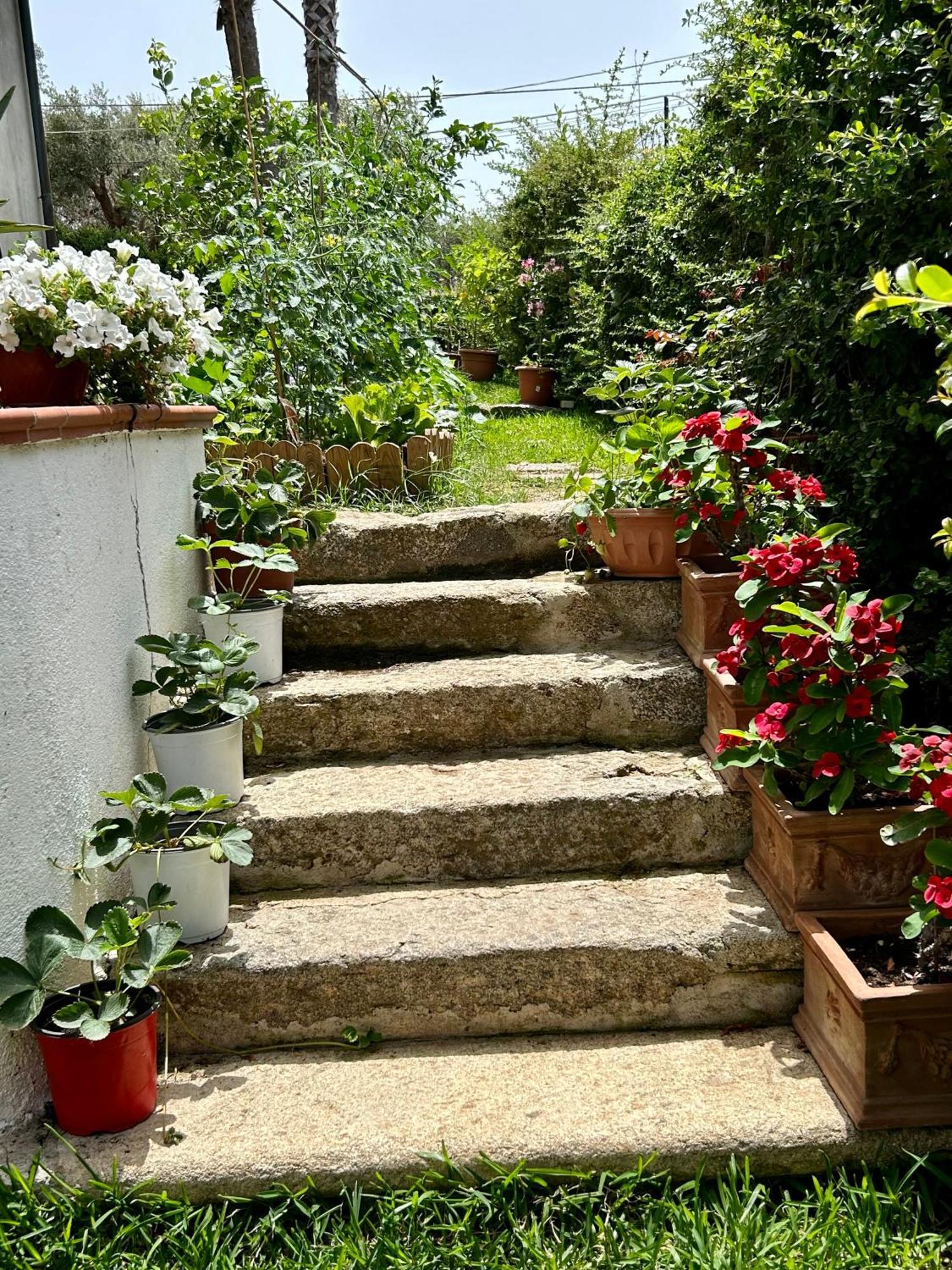 דירות זמברונה Alto Giardino מראה חיצוני תמונה